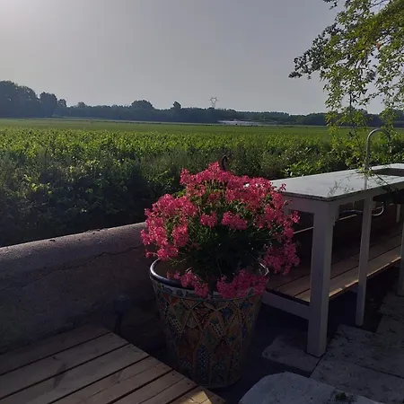 Domaine De La Solencière *