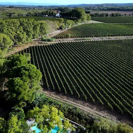 Domaine De La Solenciere Holiday home Saint-Thibery