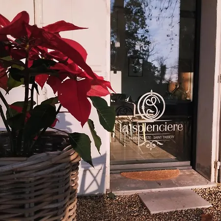 Domaine De La Solenciere Holiday home Saint-Thibery